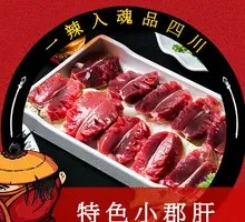 Special Xiaojun Gan