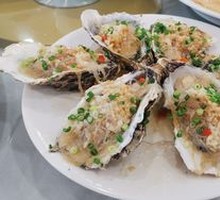 Oyster
