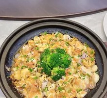 Steamed Fresh Abalone