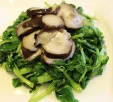 Bamboo Shoots with Greens