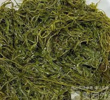 Bamboo Shoot Firecracker