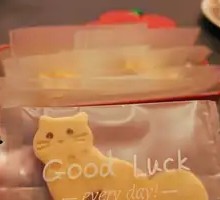 Kitten Biscuits
