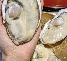 Large Oyster