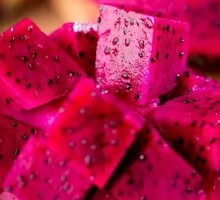 Red Dragon Fruit