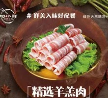 Selected Lamb Meat