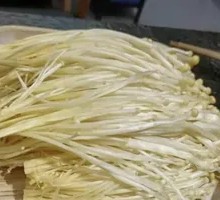 Silver Needle Mushroom