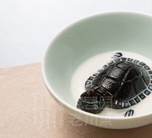 Coconut Milk Turtle Jelly