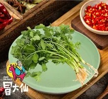 Cilantro