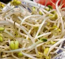 Bean sprouts