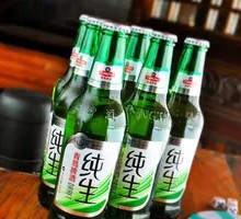 Tsingtao Pure Draft