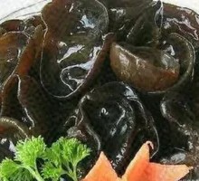 Wild Black Fungus