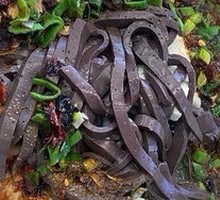 Bone Soup with Blood and Noodles