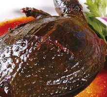 Braised Turtle