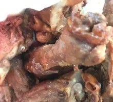 Signature Duck Neck Bones