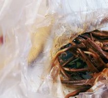 Signature Duck Tongue