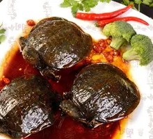 Secret-Recipe Small Turtle