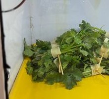 Tofu Skin with Cilantro