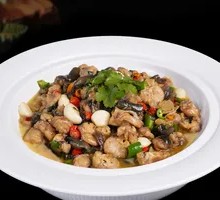 Spring Water Singing Fish