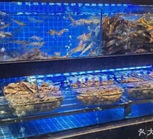 Seafood Pool