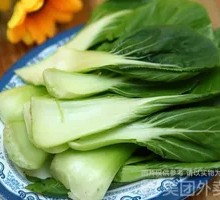 Baby Bok Choy