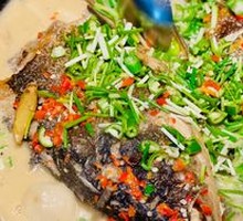 Iron Pot River Fish Head