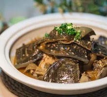 Braised Softshell Turtle