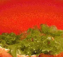 Spicy Chicken Leg Burger