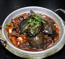 Kung Fu Softshell Turtle