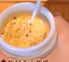 Nomadic Handmade Yogurt
