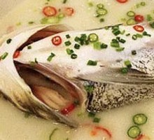 Spring Water Live Fish