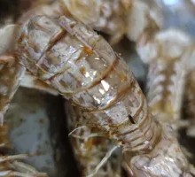Salt and Pepper Prawn