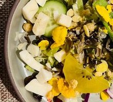 Organic Vegetable Salad