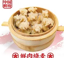 Fresh Meat Dumplings