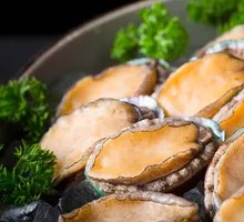 Fresh Abalone