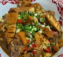 Dry Pot Softshell Turtle