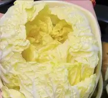 Chinese cabbage