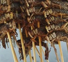 Grasshopper Skewers