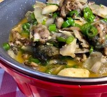 Spicy Softshell Turtle