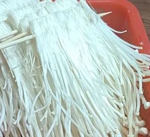 Enoki Mushroom