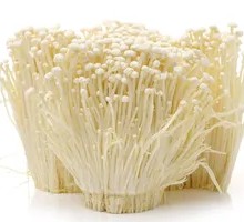 Enoki Mushroom