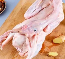 Old Goose in Rural Style