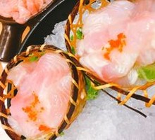 Lancang River Dragon Fish