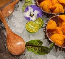 Fresh Sea Urchin