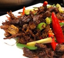 Shredded Beef