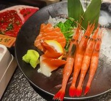 Salmon