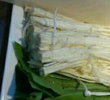 Enoki Mushroom