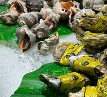 Oyster