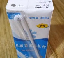 Lactic Acid Bacteria Beverage