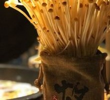 Live Golden Enoki Mushrooms