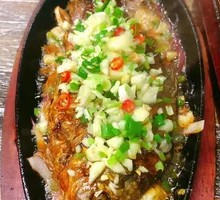 Signature Iron Plate Crucian Carp